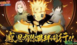 火影最新爆料s忍者是谁,S级忍者身份大揭秘！