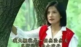 陈金宗前女友爆料视频,揭秘背后惊人真相