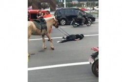 网红骑马爆料视频播放在线观看,在线观看引热议