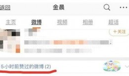娱乐圈瓜的爆料与分析,揭秘明星背后的真实故事