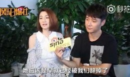 圈内密探爆料张丹峰,圈内密探揭露惊人内幕