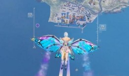 飞行器尾迹爆料视频,揭秘空中奇观背后的科学奥秘