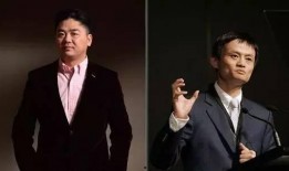 刘强东马云爆料视频播放,揭秘商业巨头背后的真实故事