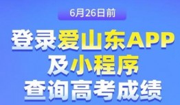 东营新闻爆料,最新爆料揭示城市动态