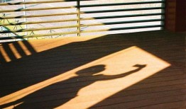 赛罗在线爆料视频下载安装