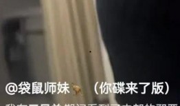 爆料女打呼噜视频在线观看,女网友意外走红，视频曝光引发热议