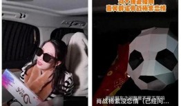 狗仔爆料肖战杨紫旅游视频,狗仔镜头下的甜蜜瞬间