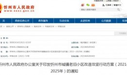 南岗村旧改爆料通知最新,揭秘项目进展与居民期待