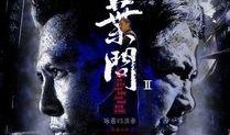 叶问2在线观看,宗师再起，武林传奇