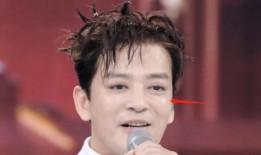 娱乐吃瓜男明星头发,揭秘男明星头发的秘密与魅力