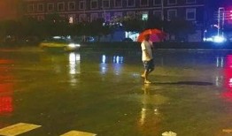 西安雨天爆料视频大全,街头巷尾雨中奇观大盘点