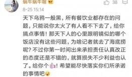 海底捞爆料视频,员工真实心声引热议