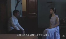 大佬爆料五嫂视频播放全集,揭秘背后惊人真相