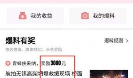 今日头条小雨爆料,小雨爆料揭秘娱乐圈最新动态