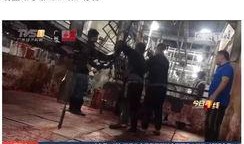 猪肉爆料视频大全集播放,揭秘行业真相与食品安全