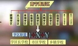 广西教育爆料最新消息,多所高校改革举措及招生政策大揭秘