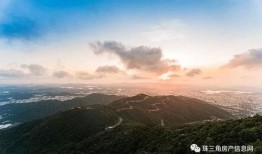 中宁曝光台爆料视频最新,揭秘惊人内幕