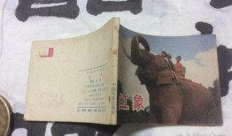 红象在线观看,揭秘神秘生物的奇幻世界