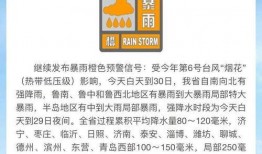 寿光最新爆料消息今天,最新爆料揭示惊人真相！”