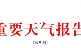 东营新闻爆料,最新爆料揭示城市动态