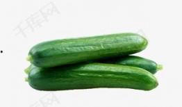 名人吃瓜视频素材下载免费,免费下载视频素材背后的故事