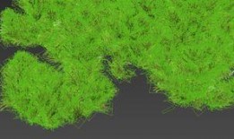 树叶最新爆料软件是什么