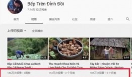 越南爆料博主视频大全,揭秘真实越南生活与热点事件