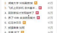 爆料新闻歌曲有哪些,盘点那些因新闻事件而爆红的歌曲