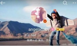 娱乐圈爆料谁粉丝最多,揭秘粉丝狂热背后的秘密