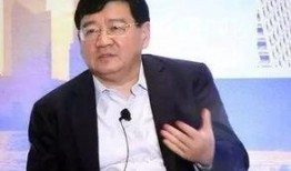 徐小平爆料视频全集,揭秘娱乐圈内幕与真实人生