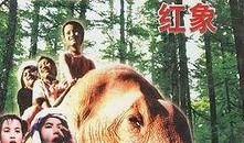 红象在线观看,揭秘神秘生物的奇幻世界