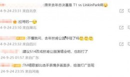 爆料吐槽音乐视频,揭秘幕后真相与争议焦点