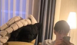 任豪爆料视频大全,揭秘娱乐圈幕后真相