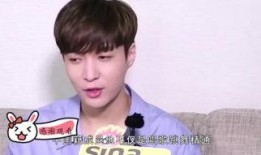 张艺兴最新爆料汇总,揭秘演艺事业背后的心路历程与未来规划