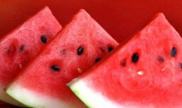 吃瓜的康县网红,揭秘网络红人的魅力与争议