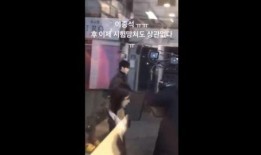 爆料现场灵机一动视频大全,视频大全背后的精彩瞬间
