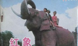 红象在线观看,揭秘神秘生物的奇幻世界