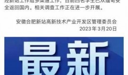 海南新闻网站爆料电话,揭露身边事，共建和谐岛