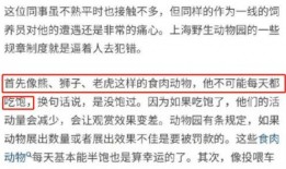 华宇员工爆料视频播放时间,揭秘事件背后惊人真相，播放时间曝光