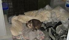 小孩爆料拆迁视频大全,小孩视角下的震撼瞬间