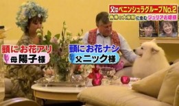 香港生活爆料视频大全最新,最新视频大全精彩瞬间大盘点