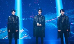 爆料淄博演唱会事件视频,揭秘现场混乱背后的真相