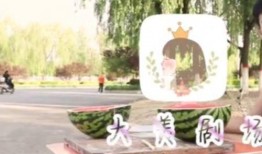 吃瓜网站免费路口,带你领略网络娱乐新风尚