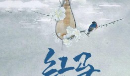 赛罗在线爆料视频下载安装