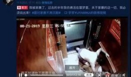香港爆料家暴案视频播放,暴力阴影下的家庭悲剧