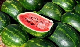 临海爆料吃瓜视频大全,吃瓜视频大全，揭秘幕后真相