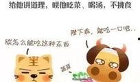 幼儿园视频爆料大全下载,揭秘幼儿教育那些事儿