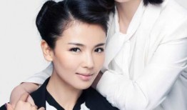 秦海璐娱乐圈爆料是真的吗,真相揭秘还是无稽之谈？