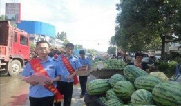 菏泽曹县网红吃瓜事件,一场网络舆论的发酵与反思