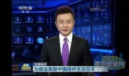 莆田老板爆料新闻视频播放,揭秘新闻视频背后的真相